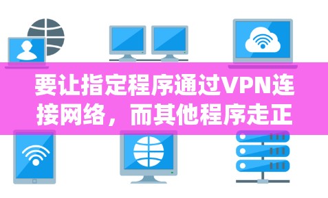 要让指定程序通过VPN连接网络，而其他程序走正常网络，可以通过以下方法实现（以常见操作系统为例）